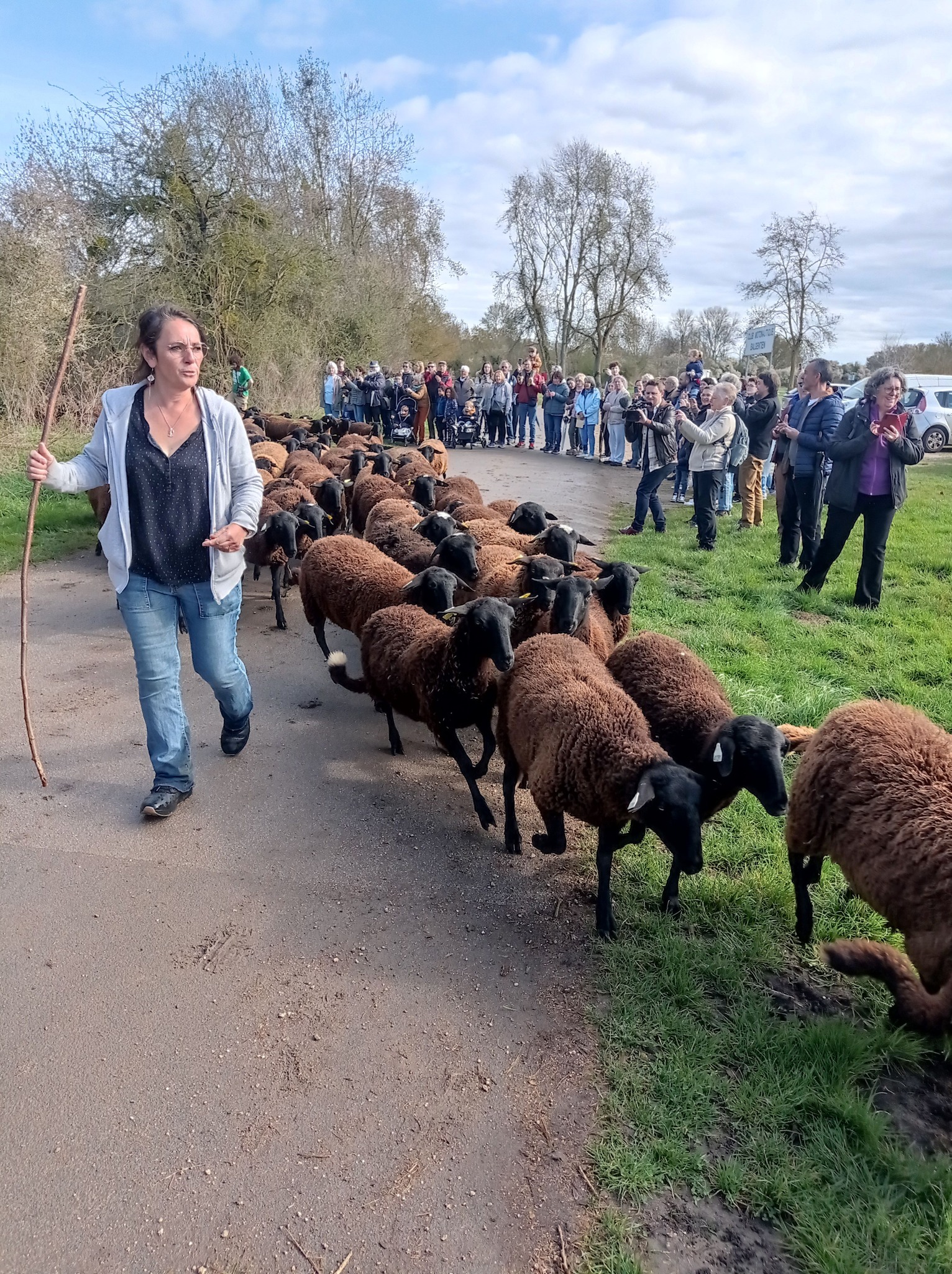 0-transhumance